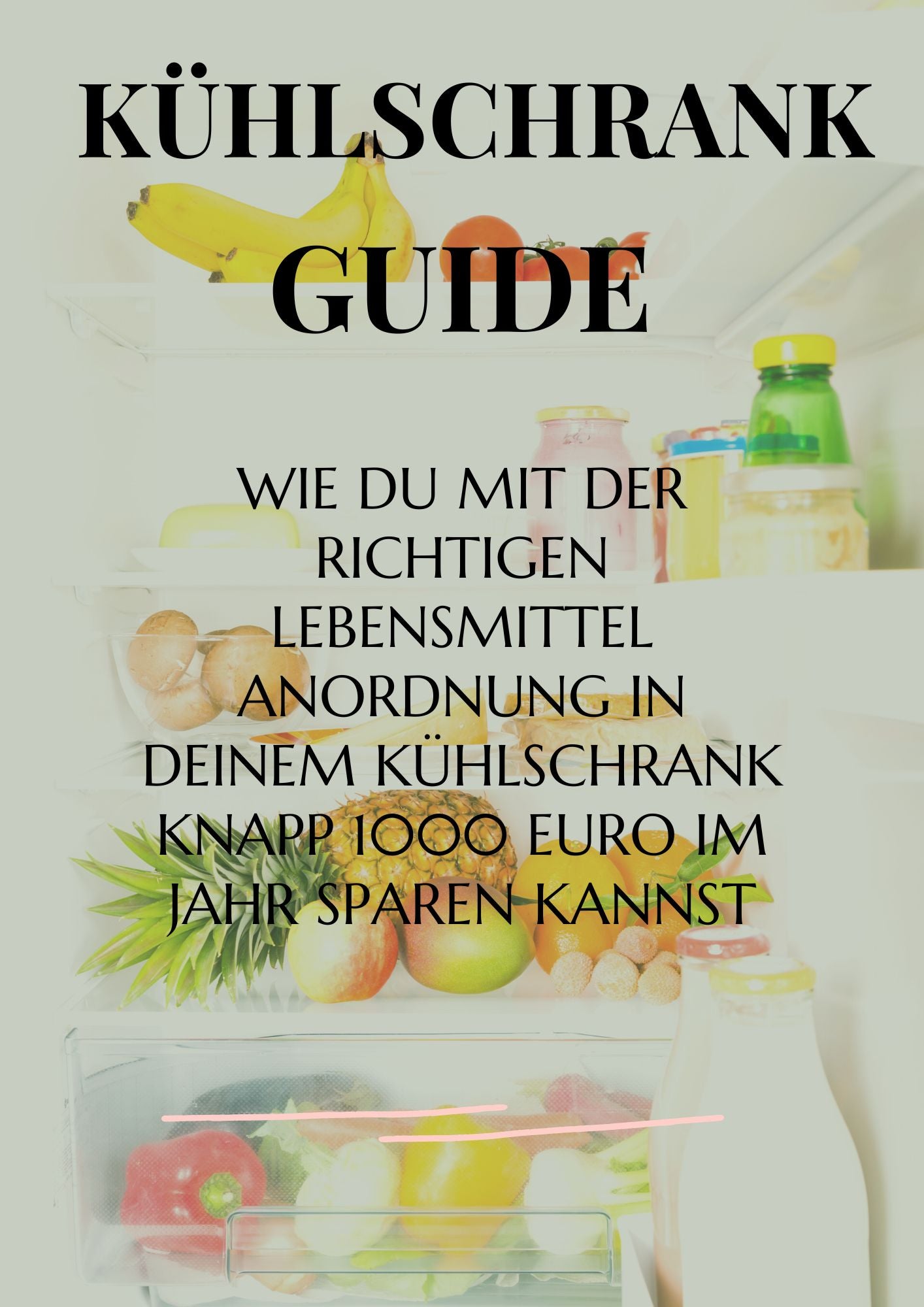 Kühlschrank Guide